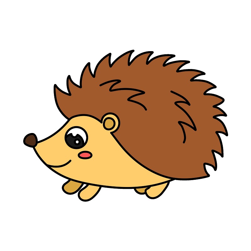 dibujos de Hedgehog 5 (8)