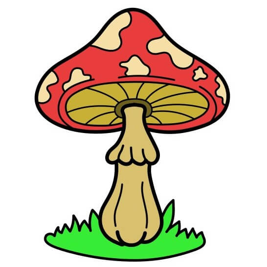 dibujos de Mushroom-7-9