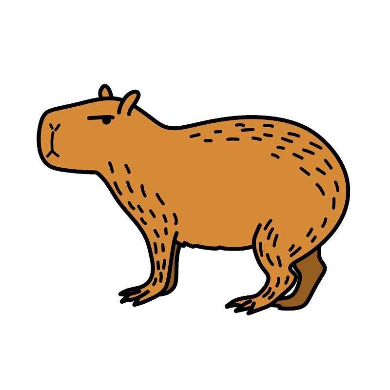 dibujos de Capybara 4 (7)