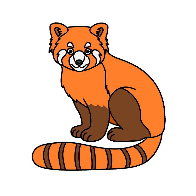 dibujos de Red Panda 4 (10)