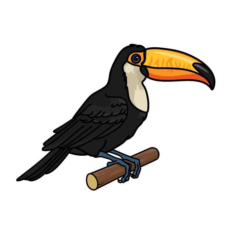 dibujos de Toucan 1 (10)