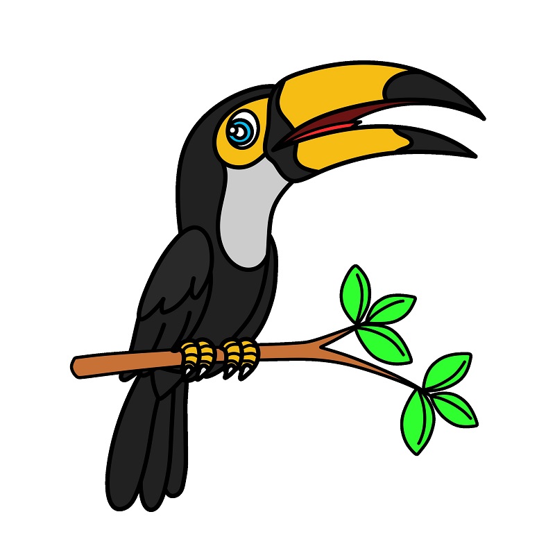 dibujos de Toucan 3 (10)