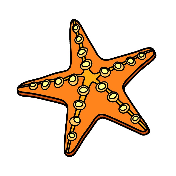 dibujos de Starfish 1 (6)