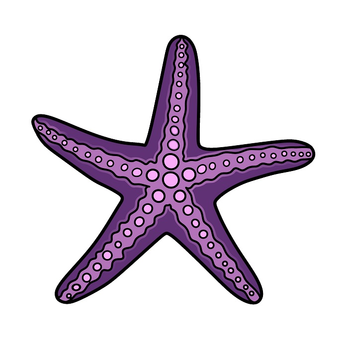 dibujos de Starfish 3 (5)