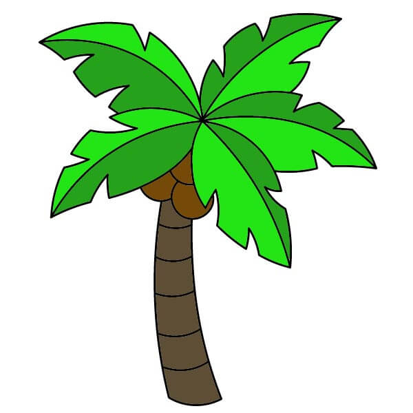 dibujos de Palmera 3-6