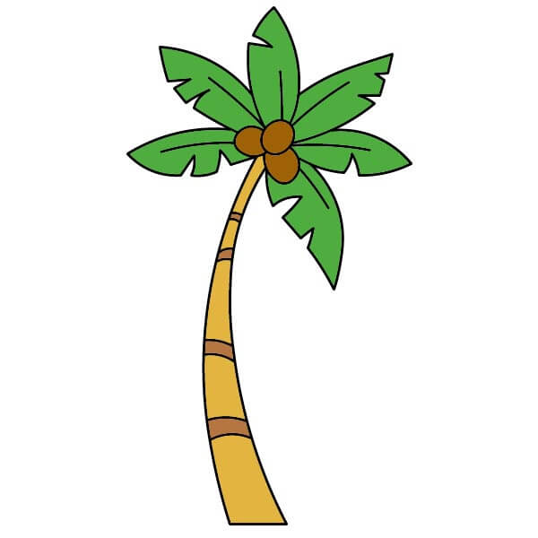 dibujos de Palmera 4-6