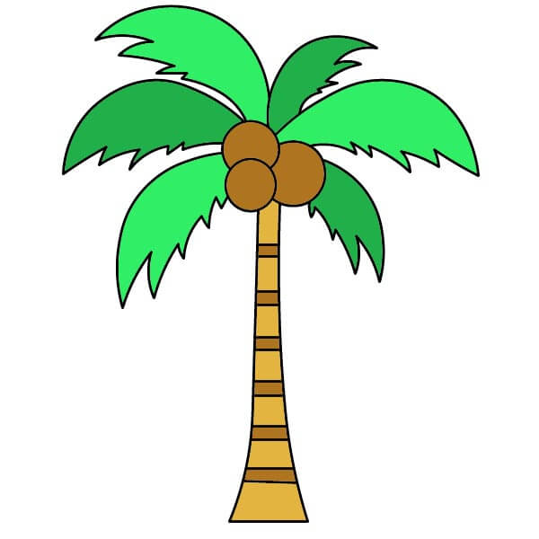 dibujos de Palmera 5-6