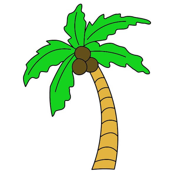 dibujos de Palmera 6-6