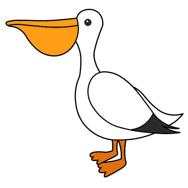 dibujos de Pelícano 4-7