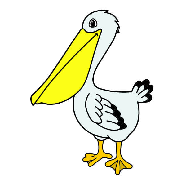 dibujos de Pelícano 6-10