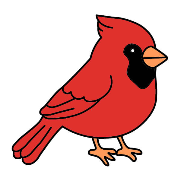 dibujos de Cardenal