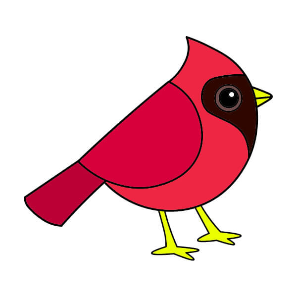 dibujos de Cardenal 2-9