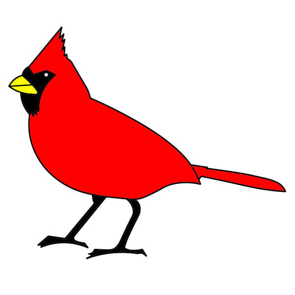 dibujos de Cardenal 3-9