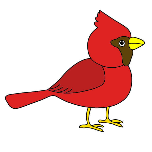 dibujos de Cardenal 4-9