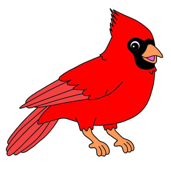 dibujos de Cardenal 5-12