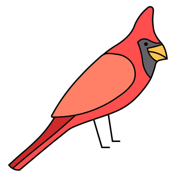 dibujos de Cardenal 6-8