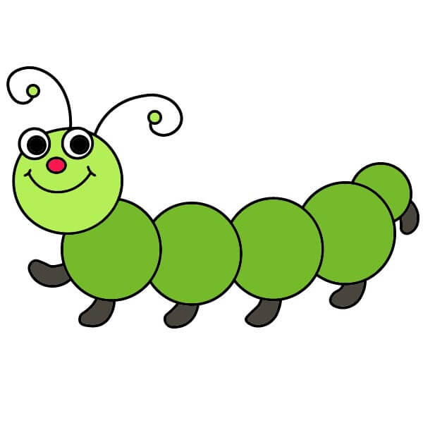 dibujos de Oruga 5-8